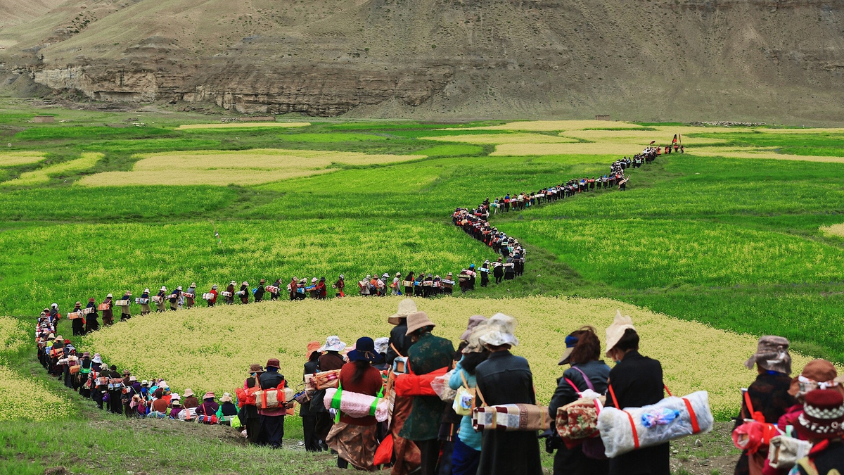 tibet-望果节