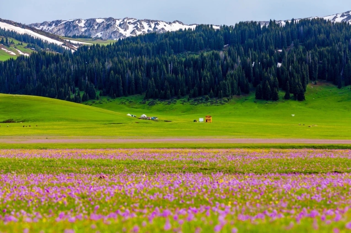 xinjiang-伊犁 库尔德宁