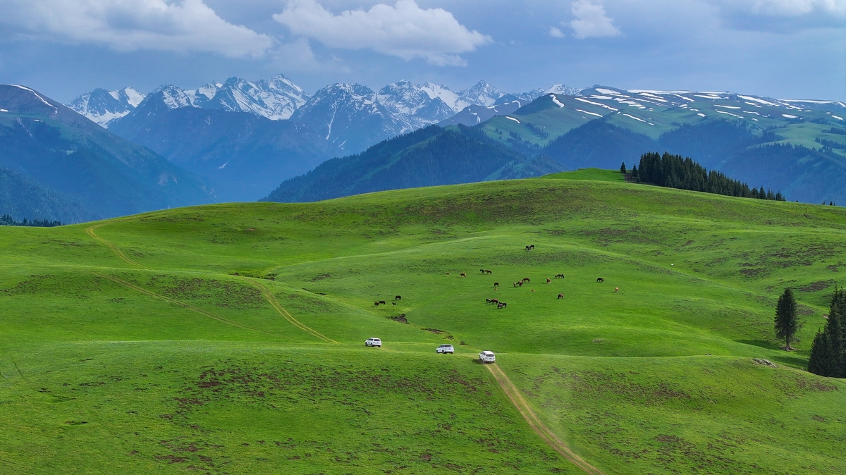 xinjiang-伊犁 云端草原