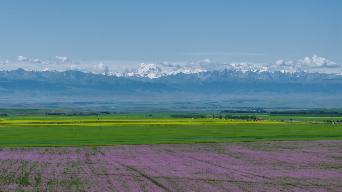 xinjiang-伊犁 昭苏花海1