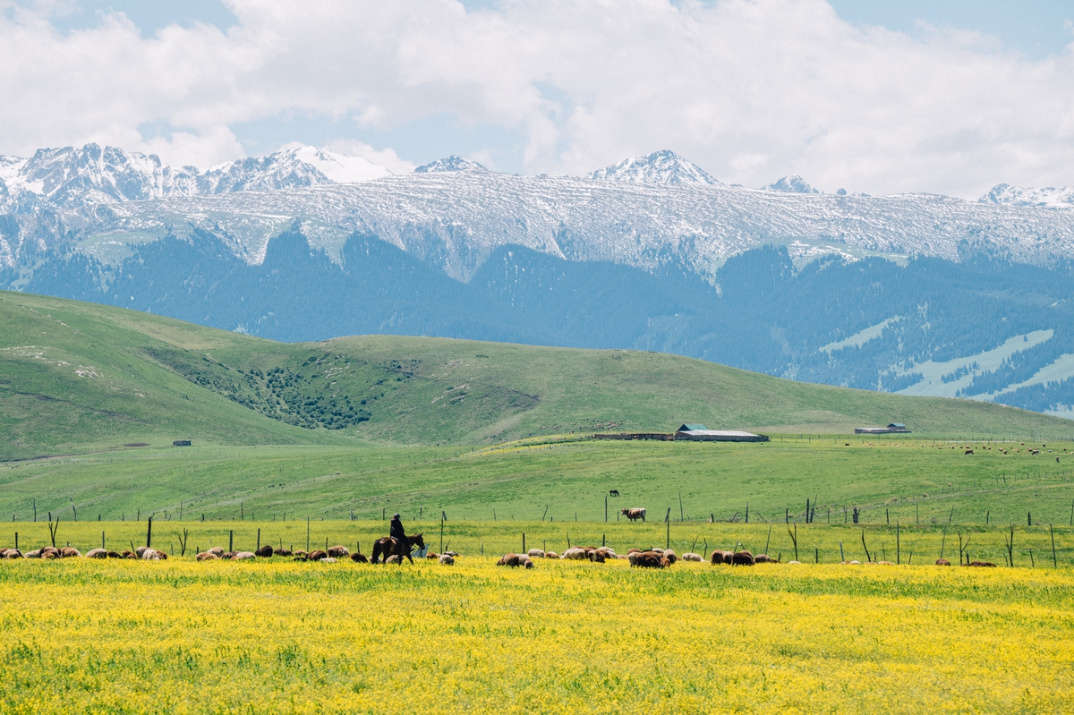 xinjiang-20250525